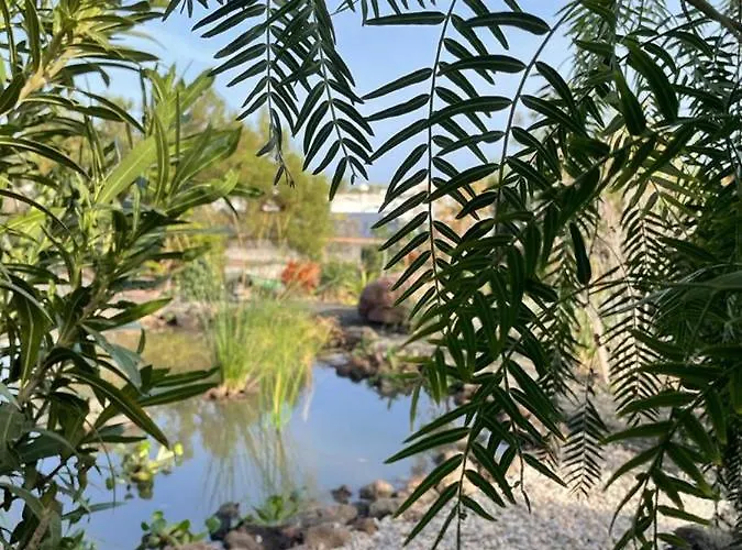 アパート Ocean View