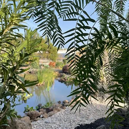 Apartment Ocean View